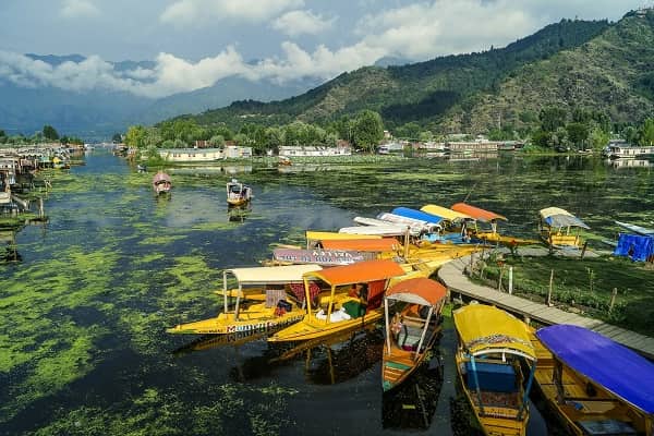 Ambala To Srinagar Taxi Service